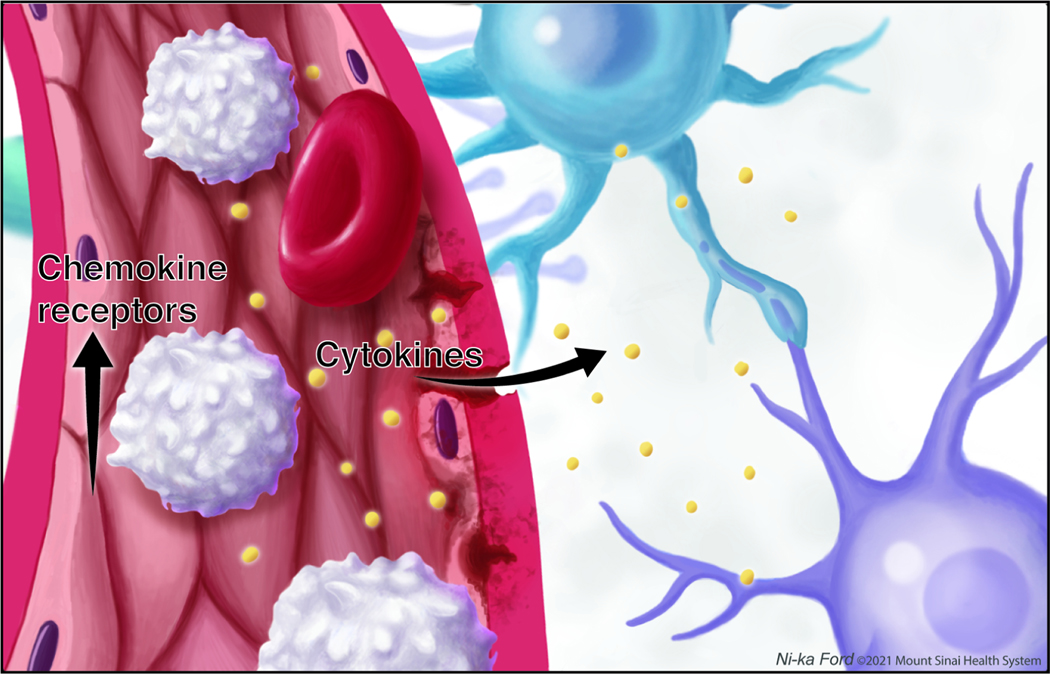 Fig 3.