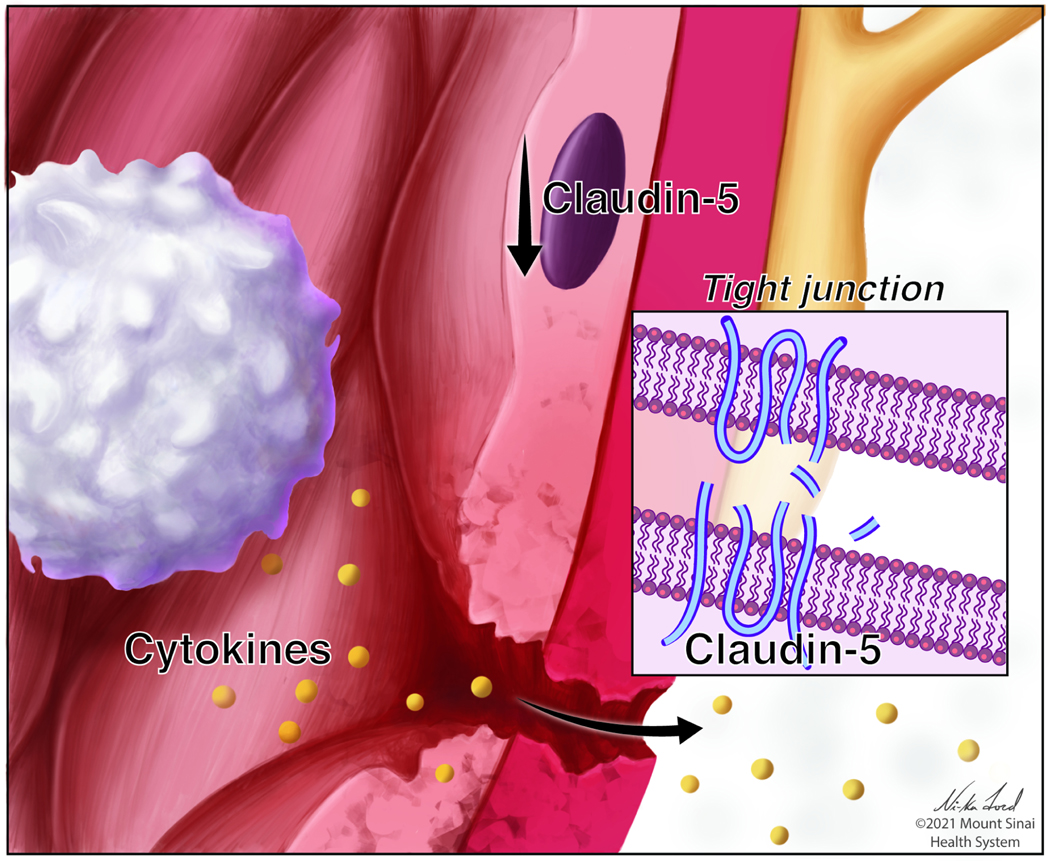 Fig 4.