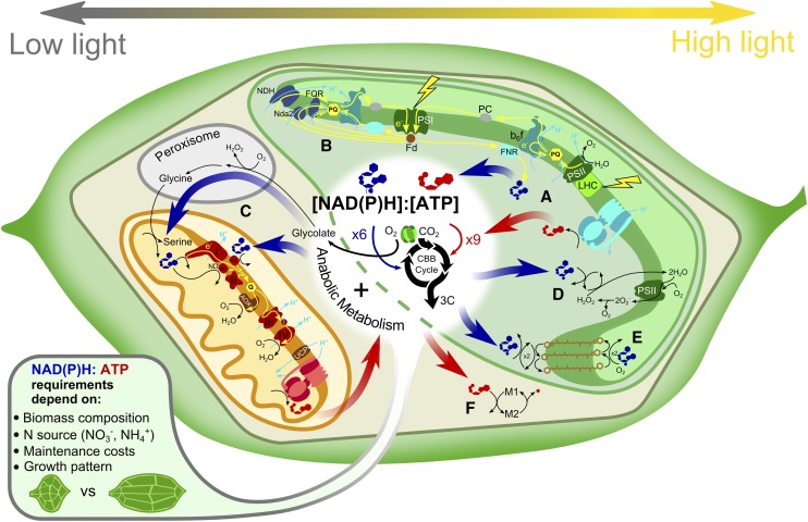 Figure 2.