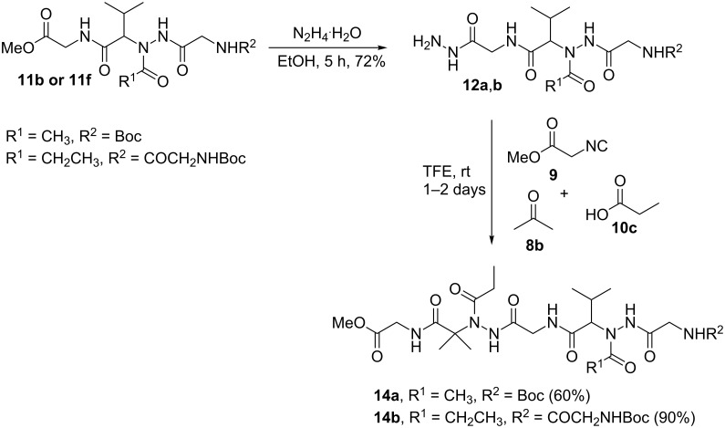 Scheme 4