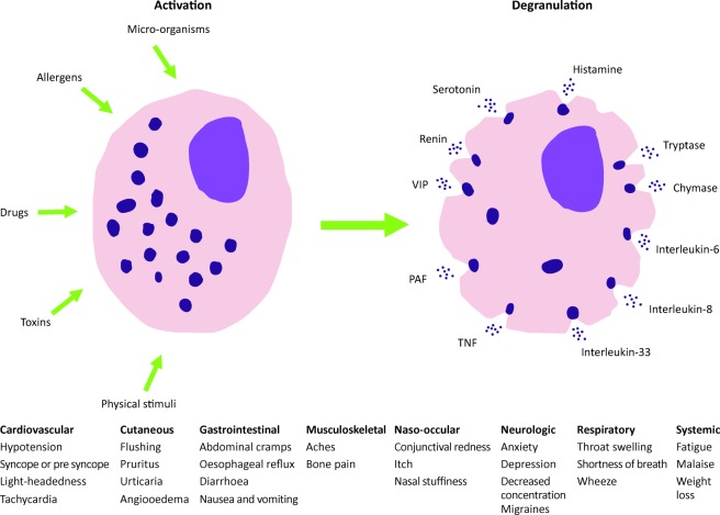 Fig 1.