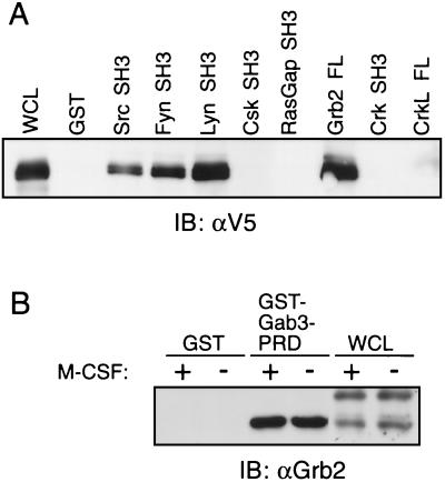 FIG. 5.