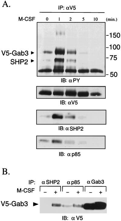 FIG. 3.