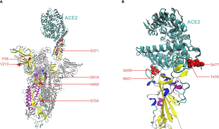 Figure 2