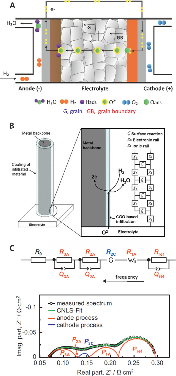 Figure 29