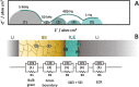 Figure 28