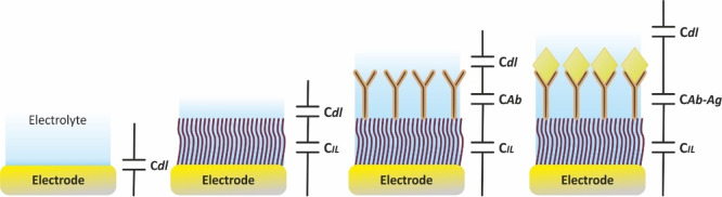 Figure 31