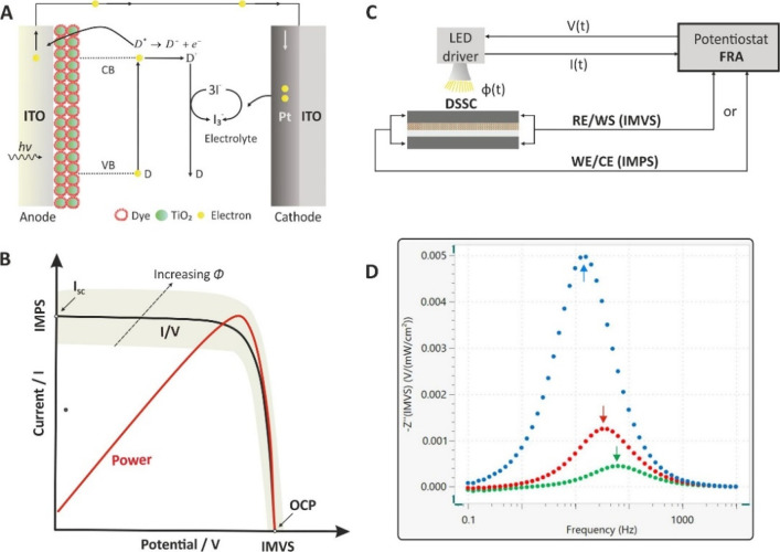 Figure 30