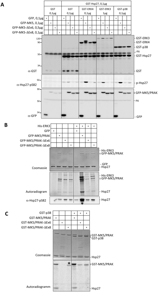 Fig 5