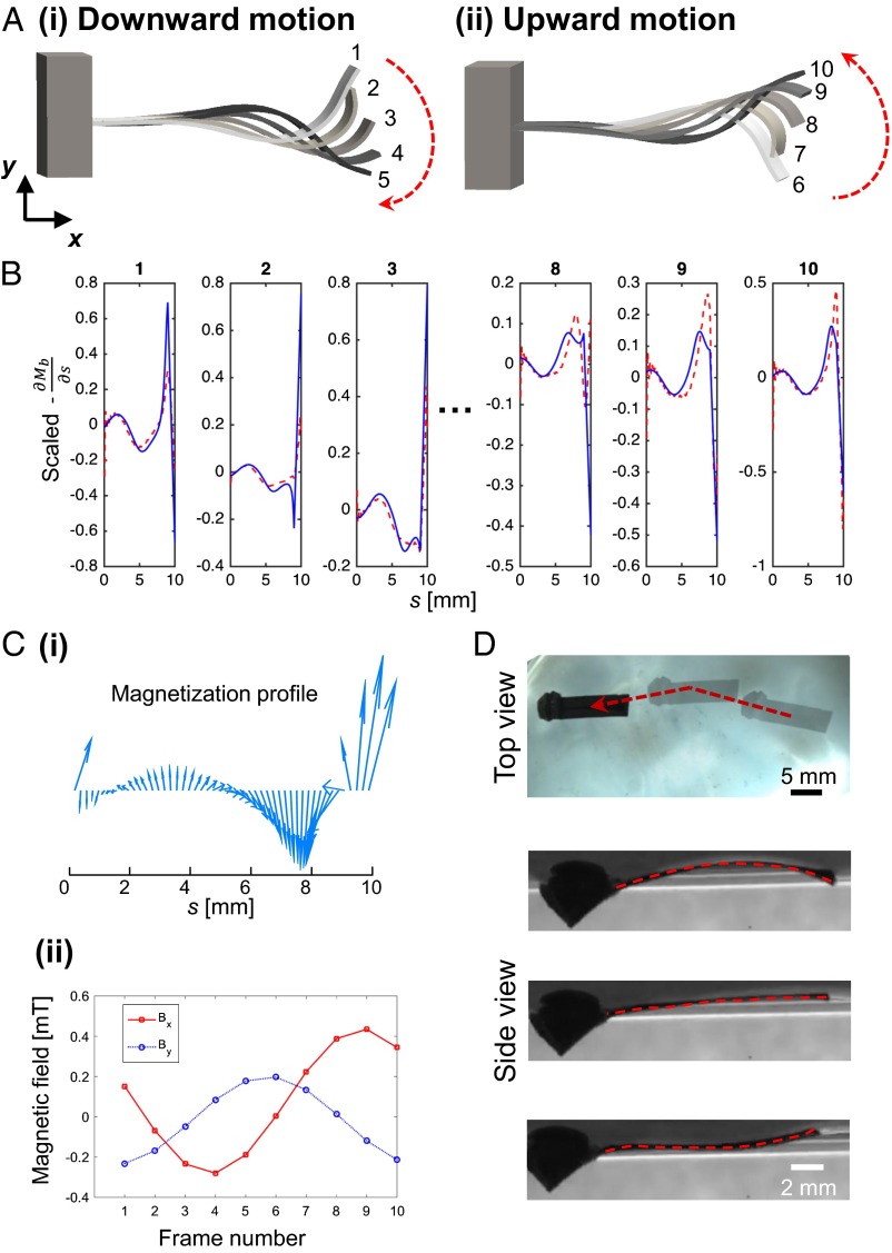 Fig. 3.