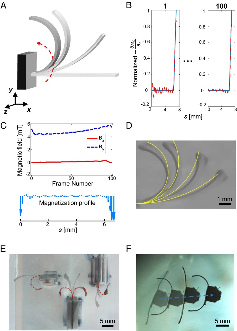 Fig. 2.