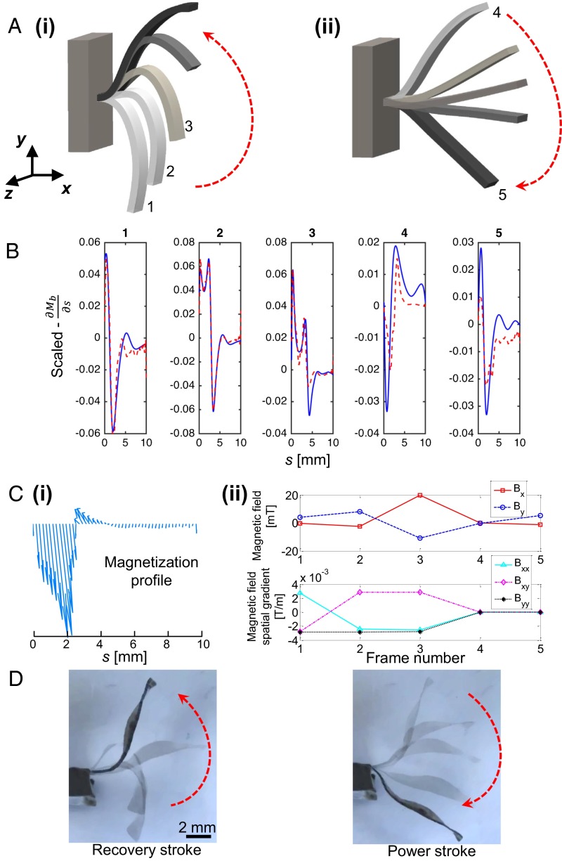 Fig. 4.