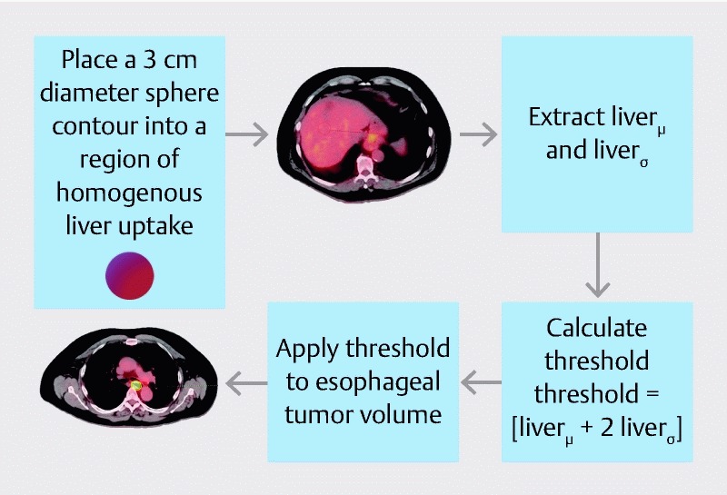 Fig. 1