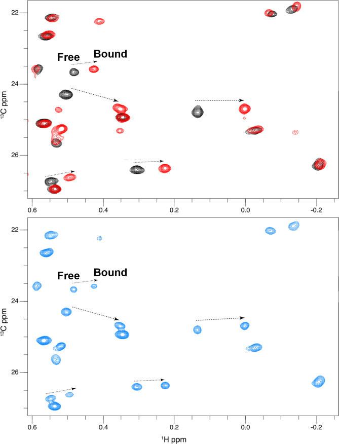 Figure 2—figure supplement 4.