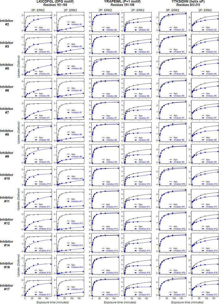 Figure 5—figure supplement 1.