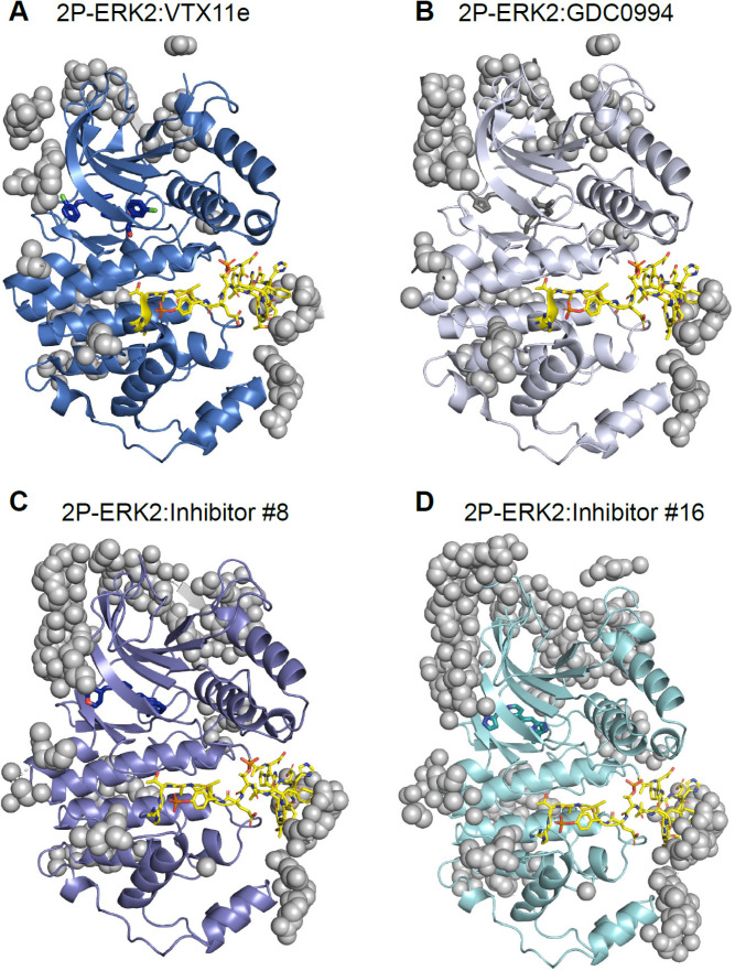 Figure 11—figure supplement 1.