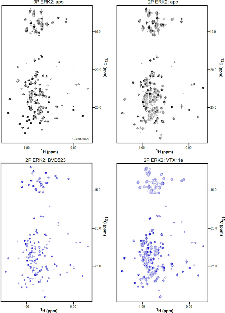 Figure 2—figure supplement 1.