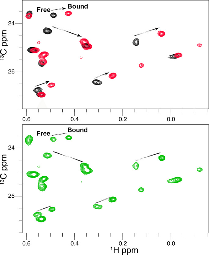 Figure 2—figure supplement 3.