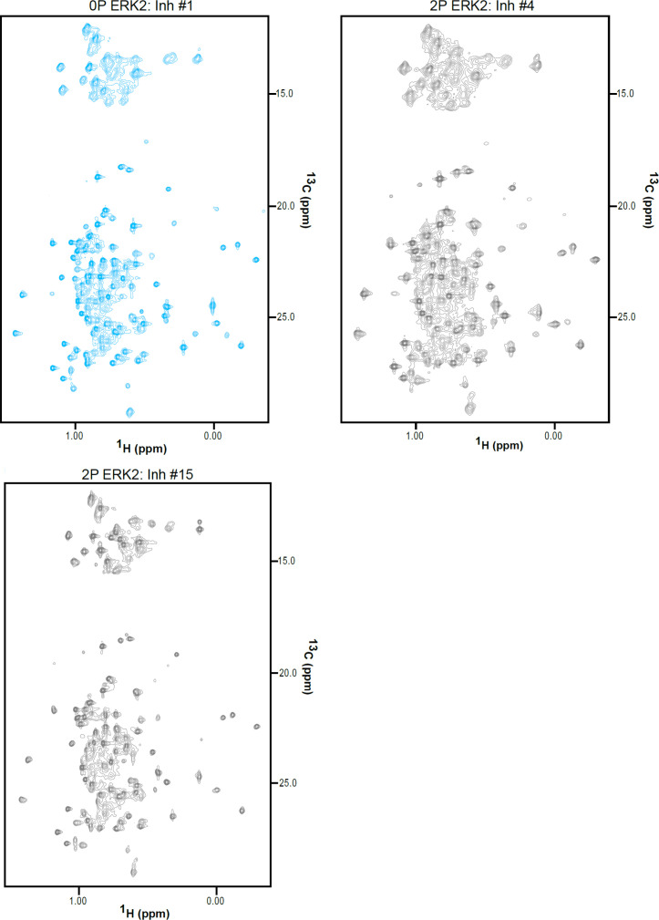 Figure 7—figure supplement 2.