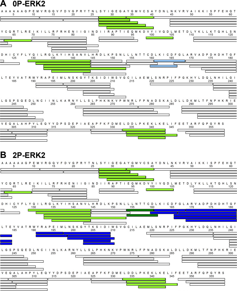 Figure 3—figure supplement 1.