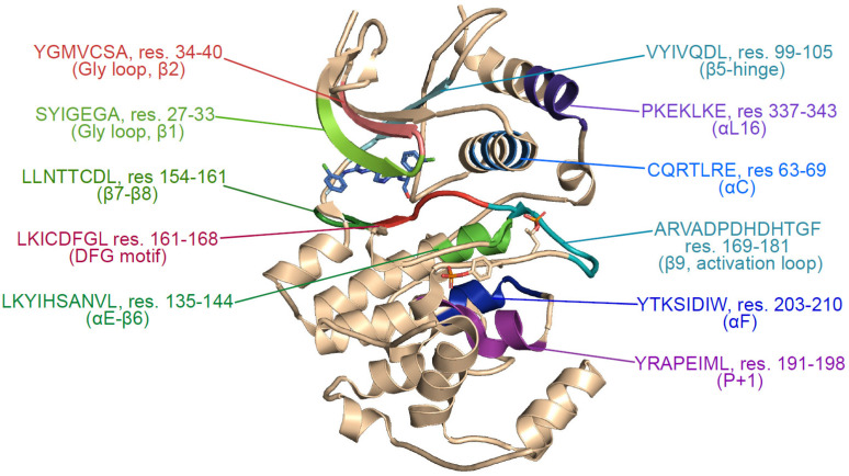 Figure 3—figure supplement 2.