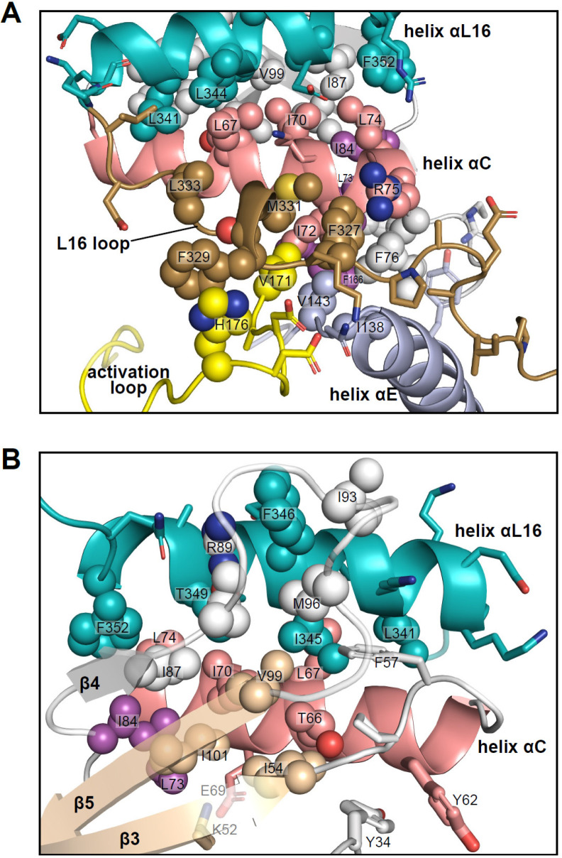 Figure 11.