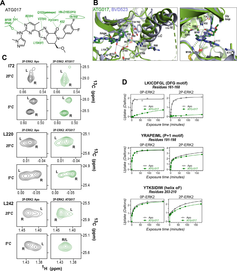 Figure 10.