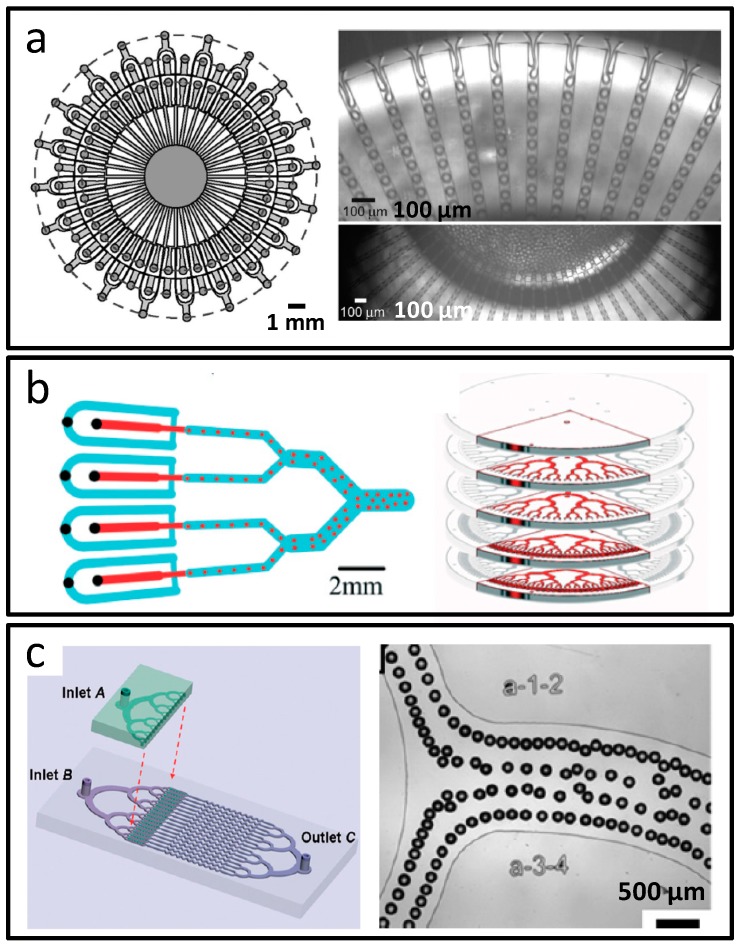 Figure 17