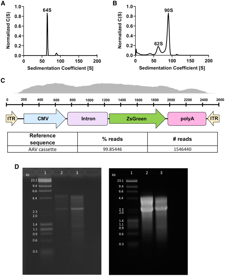 Figure 5