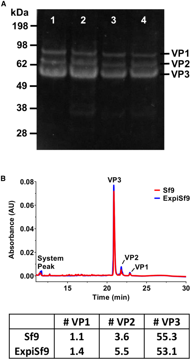 Figure 4