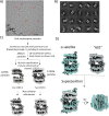 Extended Data Fig. 3