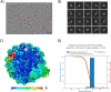 Extended Data Fig. 1