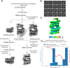 Extended Data Fig. 2