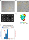 Extended Data Fig. 7