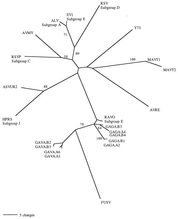 FIG. 5