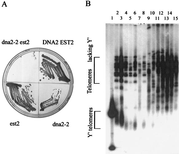 FIG. 7.