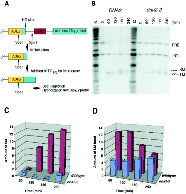 FIG. 6.