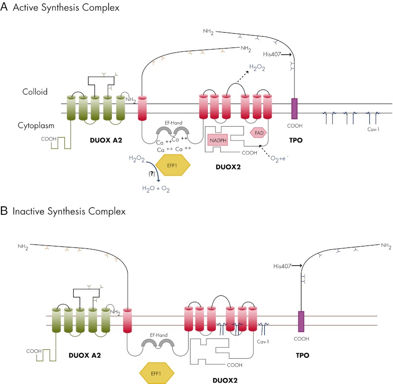 Figure 3.