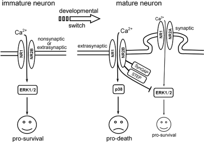 FIGURE 11.