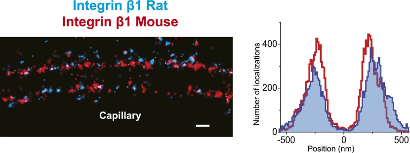 Figure 5—figure supplement 1.