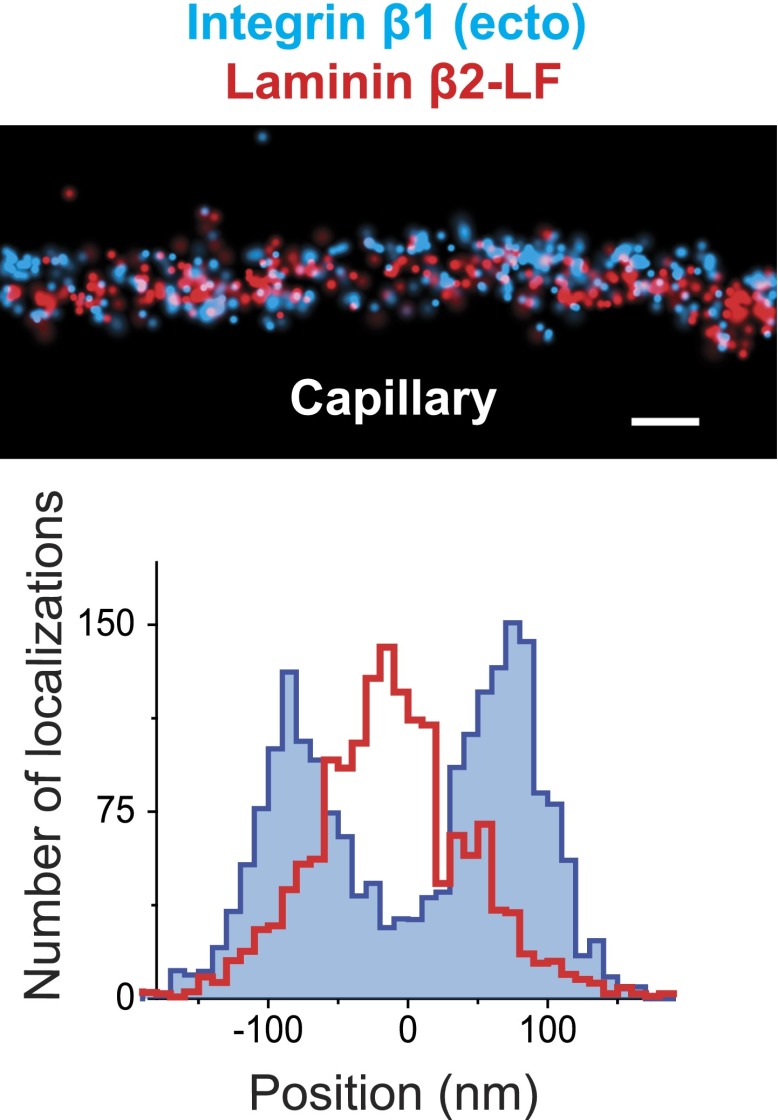 Figure 2—figure supplement 2.