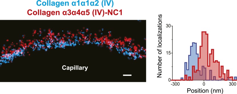 Figure 5—figure supplement 3.