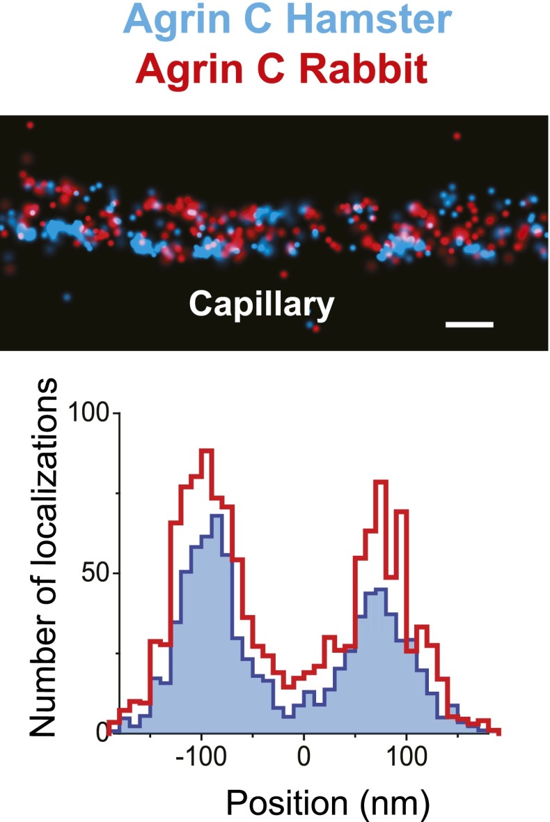 Figure 1—figure supplement 3.