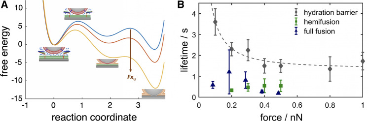 Fig. 14