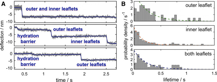 Fig. 12