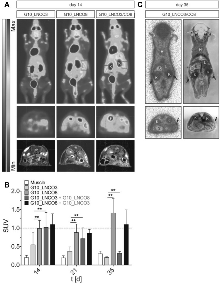 Fig. 5