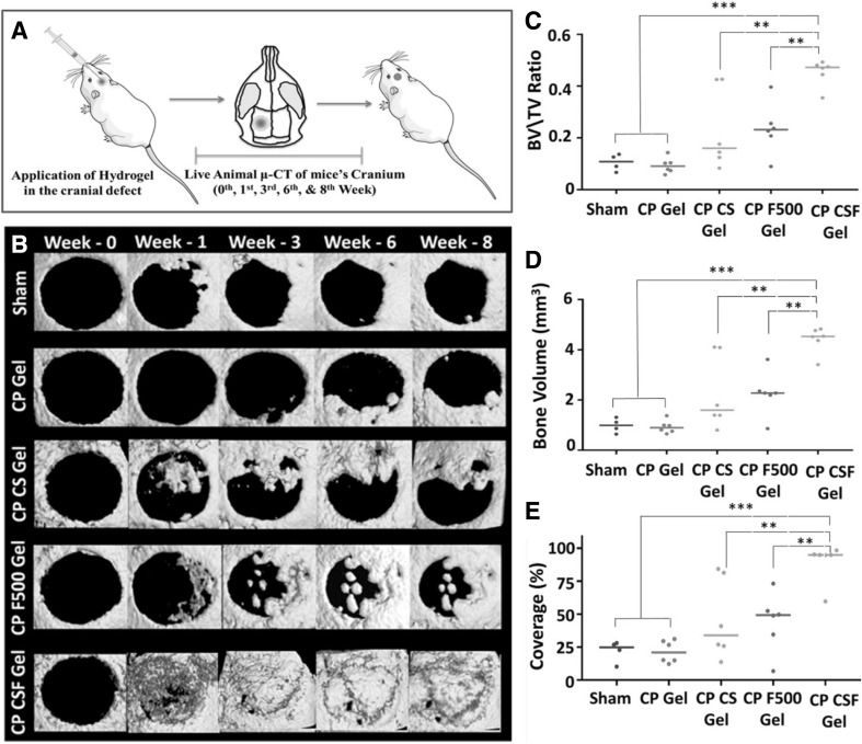 Fig. 4