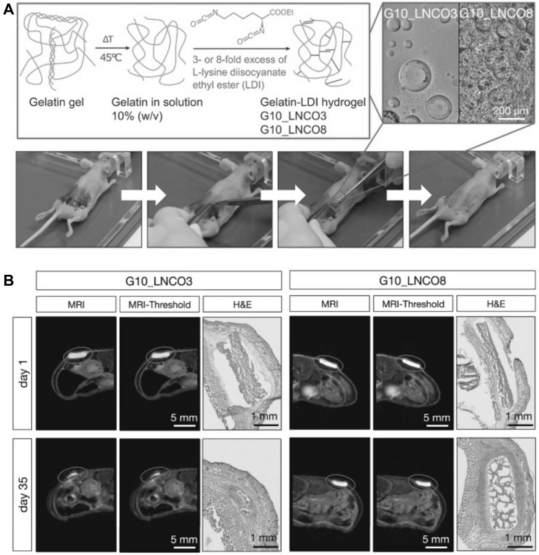 Fig. 7