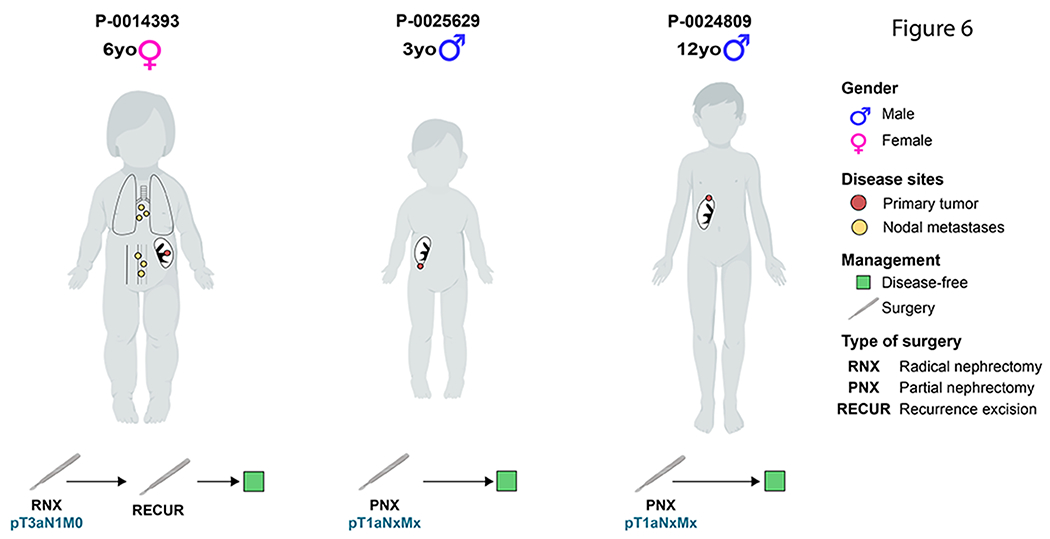 Figure 6: