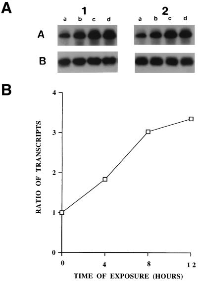 FIG. 6